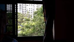 Blk 225A Compassvale Walk (Sengkang), HDB 4 Rooms #304687941